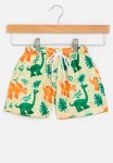 PoP Candy Boardshorts - Multi
