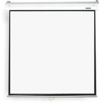 Parrot Pulldown Projector Screen - 2440 X 1850mm