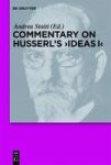 Commentary On Husserl' S Ideas I Hardcover