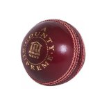 4PC Construction 142G Cricket Ball