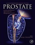 A Comprehensive Guide To The Prostate - Eastern And Western Approaches For Management Of Bph Paperback