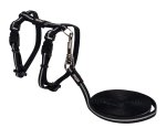 Rogz Alleycat H-harness And Lead Combination - Black