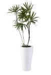 Athena Large Floor Standing Planter Pots Customisable