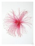Botanical Paint Brush Art Print - A1
