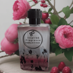 Clinique Aromatics Elixir Generic Inspired