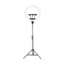 Professional 18 Inch LED Ring Light With 2M Tripod And 3 Phone Holders