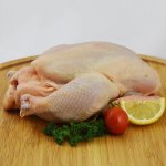 Fresh Local Whole Chicken