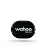 Wahoo Rpm Speed
