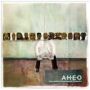 Afro-haitian Experimental Orchestra   Cd
