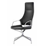 Luxury Ceo Ergonomic Office Chair