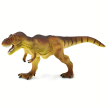 Dinosaurs Tyrannosaurs Rex
