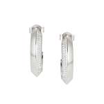 Aurea Hoop Earrings