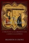 The Last Adam - A Theology Of The Obedient Life Of Jesus In The Gospels Paperback