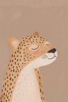 Caramel Cheetah - Wall Art Print - A1