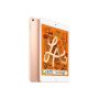 Pre-owned Ipad MINI 5TH Gen Wifi 64GB - Gold