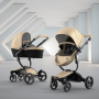 Mima Xari Black Frame - Black / Champagne / Black