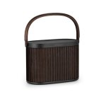 Bang & Olufsen Beosound A5 – Dark Oak