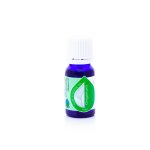 Origanum