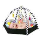 Ashcomonline Baby 4 In 1 Activity Gym And Ball Pit For Babies Gym Mat Crib Toy And Play Gym