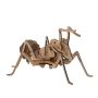 - 3D Wooden Model Insects Ant
