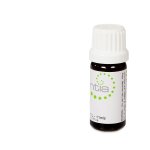 Escentia Eucalyptus Lemon Pure Essential Oil Eucalyptus Citriodora - 10ML