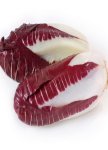 Radicchio Rossa Treviso Red Seed - 2 G Raw Seed