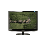 Samsung Syncmaster 233SW 23" Lcd Widescreen Monitor - Gold Essential