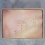 Blush Dreams 10 Art Print - A4 Framed Canvas With Natural Wood Frame