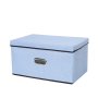 Foldable Canvas Storage Box