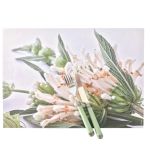 Disposable Paper Placemats Wild Flowers