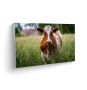 Print On Canvas - Art - Cow