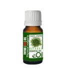 Thyme Red Natural Essential Oil Thymus Vulgaris - 10 Ml