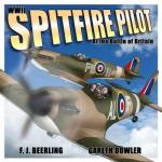 Wwii Spitfire Pilot