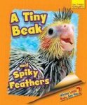 Whose Little Baby Are You? - A Tiny Beak And Spiky Feathers Paperback