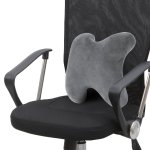 Perfect Posture Lumbar Support Pillow