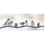 Birds Meeting Art Print On Canvas 1200 X 500
