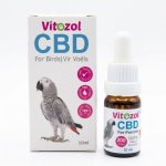 Cbd Oil For Parrots
