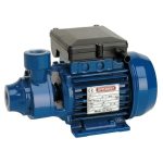 Speroni Pump Peripheral Turb 25X25MM 0.60KW 230V Livestainable