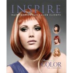 Book Inspire Vol 80 Colour & Celebrities