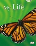 My Life - Nf Yellow C Paperback