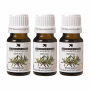 Rosemary Oil 10ML X 3