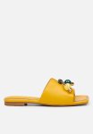 EUPHORIA4 Slide - Yellow