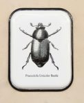 White Enamel Insect Picture 28.5X22CM