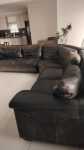 Coricraft Genuine Leather Corner Couch