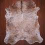 As Grade Nguni Hide 643 Tricolor XL - Extra Large / Tricolor / Brindle