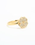 Waterproof Gold Plated Stainless Steel Bow Stud Earrings