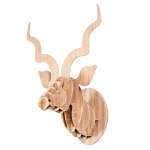 Kudu Head