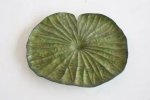 Large Lotus Leaf- 47