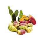Prickly Pear Seed Organic Carrier Oil - 10 Ml