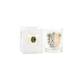 Cape Island Summer Vineyard MINI Candle